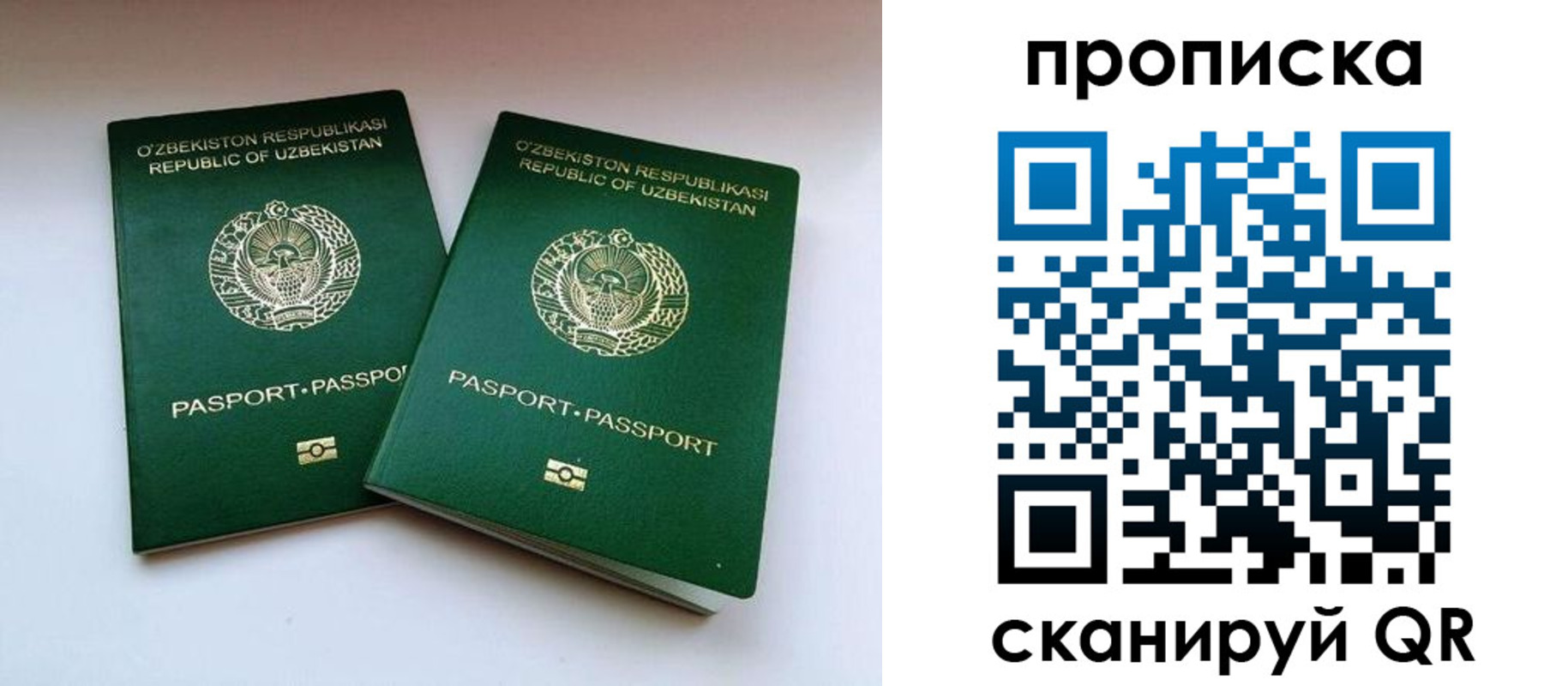 прописка поиск в Новороссийске